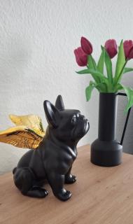 City-Appartement Pirna - 2