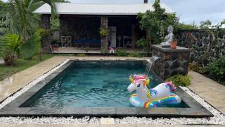 Villa oasis des laves - 3