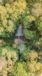 Cheerful Two Bdrm Cabin with Hot Tub & Pet Friendly - 3
