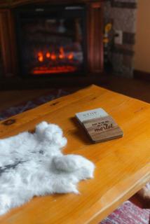 Cheerful Two Bdrm Cabin with Hot Tub & Pet Friendly - 0