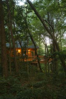 Cheerful Two Bdrm Cabin with Hot Tub & Pet Friendly - 4