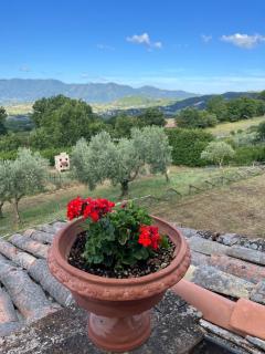 Casale La Quercia - Poggio Bustone - 4