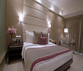 Hotel Goodwill House Near Delhi Airport - 7