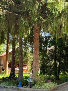 Family Guest House - Cholpon-Ata - 9