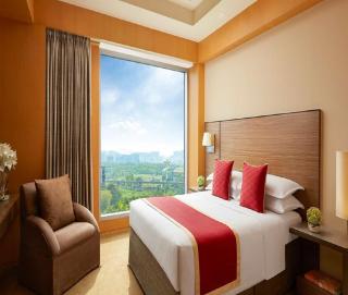 Hotel Royal Infinity Near Delhi Airport - Nuova Delhi - 1
