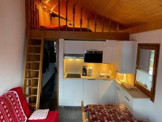 Appartement 4 pers, proche pistes et commerces, avec mezzanine et parking couvert - FR-1-733-54 - 9