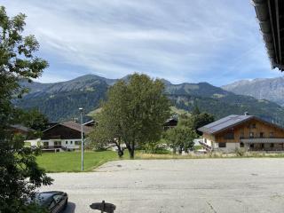 Studio cabine 4 pers, centre village, proche pistes, parking, casier à skis - FR-1-733-38 - Crest-Voland - 0
