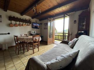 Studio cabine 4 pers, centre village, proche pistes, parking, casier à skis - FR-1-733-38 - Crest-Voland - 9