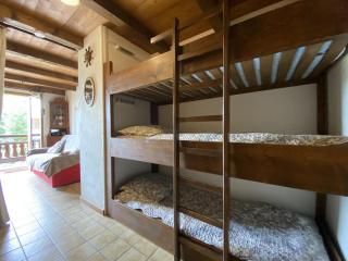 Studio cabine 4 pers, centre village, proche pistes, parking, casier à skis - FR-1-733-38 - 1