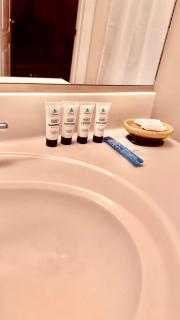 Luxurious spacious apartment with private entrance - Clifton - 4