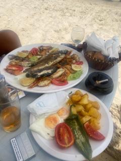 Villa Nesrine - Hammamet Sud - 9