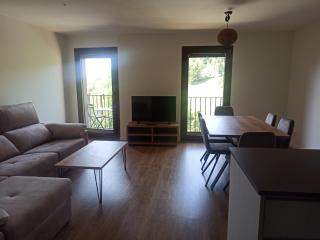 Apartament FREIXE de Molló Parc - 9