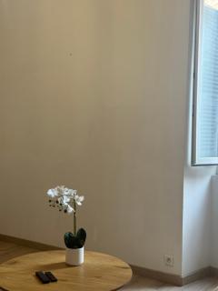 Appartement lumineux et cosy au cœur de la ville - 6