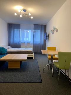 Ganze Apartment in Saarbrücken City - 2