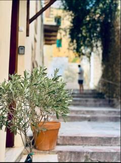 Maison Konstantinos - Nafplio - 7