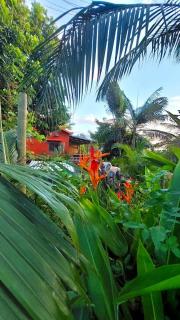 Tree Top View Lodge - Chamarel - 9