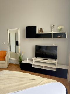 LaLumiere1930 - Historic Apartment City Center Timișoara - Timişoara - 8