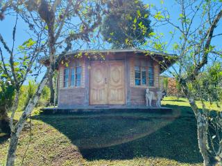 CAMVUL Farm Lodge - Finca Hotel - Palmito Palma - 8