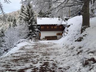 Chalet Noemi - Lamon - 3