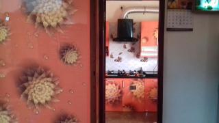 Abi Homestay - with Luxury feel at Guduvanchery - - 9