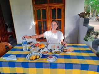 Sigiri Dasa Home stay - Sigiriya - 0