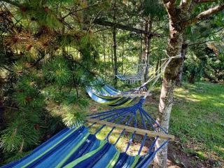 Beskidzka Ostoja - 2