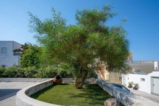 The lemon tree studio - Fira - 8