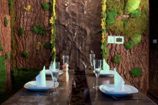 Botanic Apartment 1BR, Pool, Tennis Court - 0