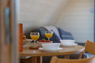 Pod1 - Powys River Pods - Pet Friendly Glamping Pod Builth Wells Powys Wales - Garth - 4