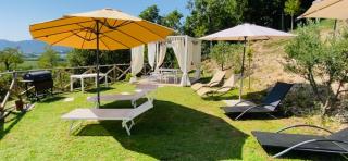 Villa Poggio Ulivo Pool-Apartments - 1