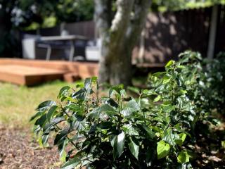 An Teach Ban, homely townhouse - Dungarvan - 5