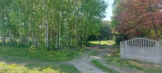 Sosnowa Polana - 2