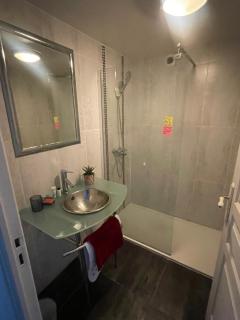 appartement comfortable avec jardin - 3