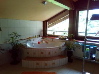 Appel Oase - - 3