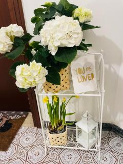 Airport Flower Home - Marina Julia - 8