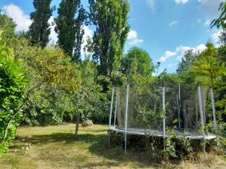 Aux Iris - Saint-Léon-sur-Vézère - 1