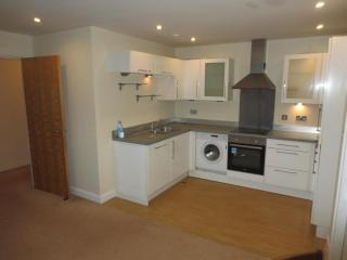 Echo apartment Sunderland - Sunderland - 6
