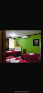 Hotel y Restaurante Saturno - - 5