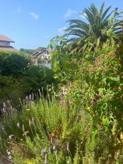"L Eden enchanté" Chambres d'hôtes et SPA privatif massages Bulle d Eden boucau Côte Basque - Boucau - 9