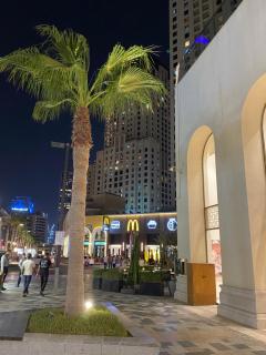 Alsahel Vacation 1 - 1