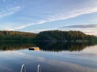 Metsäsydän mökki 5 Mörrimöykky - 1