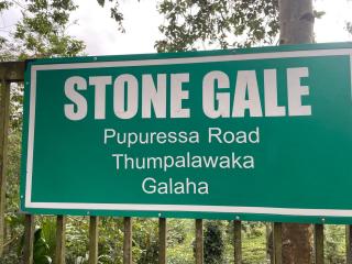 Stone gal - 3