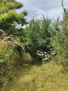 A cottage with a view in Cévennes for two - Portes - 6