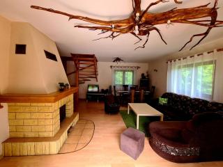 Forest House - Lubomierz - 6
