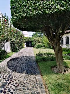 Lulu's home - Antigua Guatemala - 4