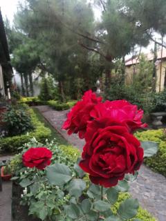 Lulu's home - Antigua Guatemala - 3