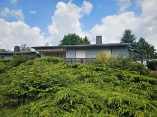 Ferienhaus 262 am Zeulenrodaer Meer - Zadelsdorf - 9