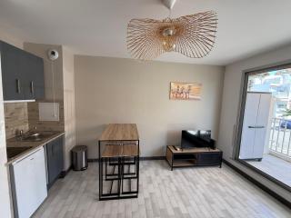 Studio 4 pers Clim, terrasse et parking - 7