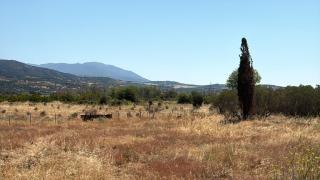 Private Parking for Cars, Vans, Campers, Bus, RV, Trailer & Caravan with Easy Access to Expressway & Main Road - Quiet Location with Mountain Views, Near the Beach, with 2 Lose Guard Dogs, No Water or Electric, No Shower or Toilet - Self Check-in - 3