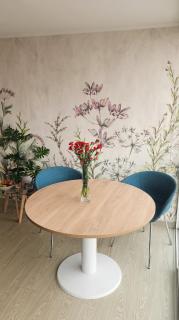 Suite Maca Luminoso, Cordillera, Parking - 6